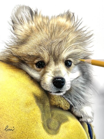 "まるで写真"の絵が描ける！大人の色鉛筆画教室