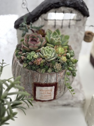 多肉植物の寄せ植え教室