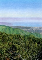 ”つい二度見”のリアルな絵が描ける！色鉛筆画教室《オンラインレッスン》