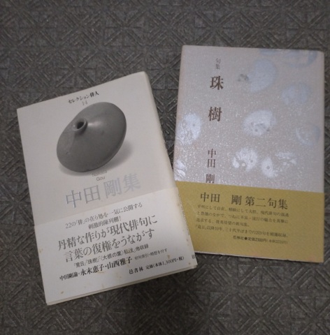 【にゃんカル】文学表現を通してみる猫