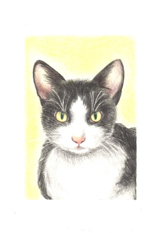 【にゃんカル】こども色えんぴつアート／こども美術教室 2月の体験レッスン