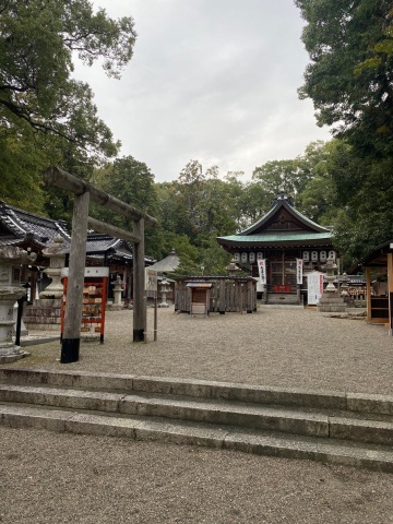 【ご当地講座】お出かけ開運神社参拝企画　占術師 藤原萠乃と行く 開運ミニ講座＋参拝ツアー「丙午のパワーを受け取る日の開運ウォーク」　会員専用ページ