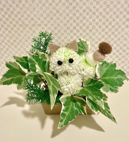 【にゃんカル】池坊 キッズいけ花　2月の体験レッスン