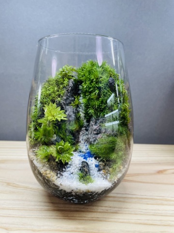 小さな森 癒しの苔テラリウム教室