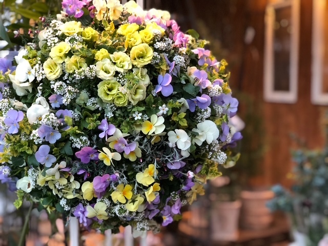ボリューム寄せ植え
