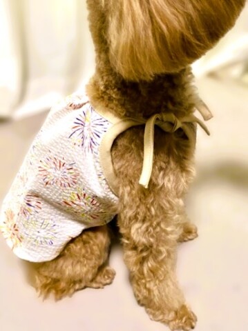 【NEW！】犬服作り特別講座 ～キャミソールを作ろう～