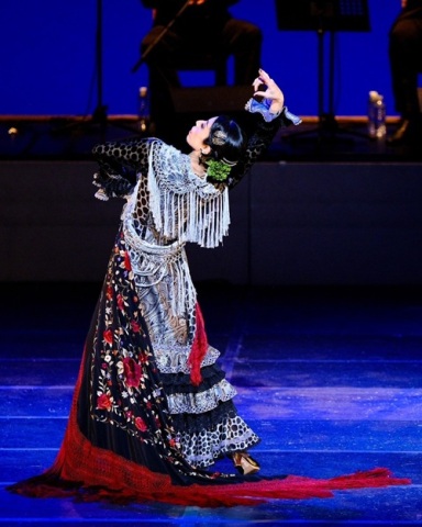 ゆっくり楽しむフラメンコ【入門】