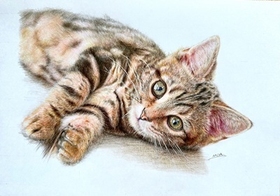 【にゃんカル】～”好き”を絵に～鉛筆画（色鉛筆画）体験会