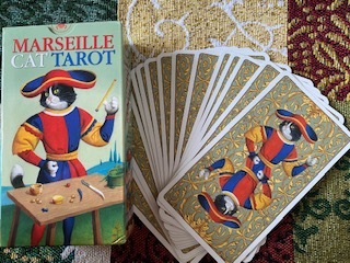 【にゃんカル・１日講座】猫×猫　タロット