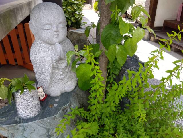 楽しく学ぶ京都学