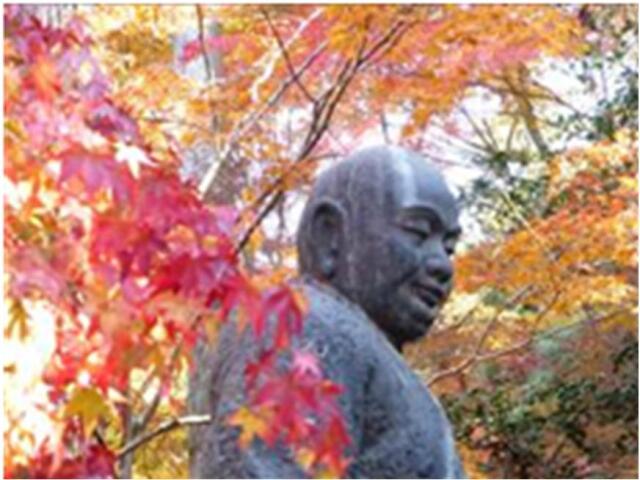 【一般】11/27(木)『智積院と今熊野観音寺（京都市）』