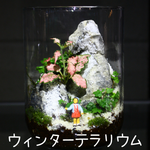 キッズテラリウムワークショップ ～ウィンターテラリウムを作ろう～