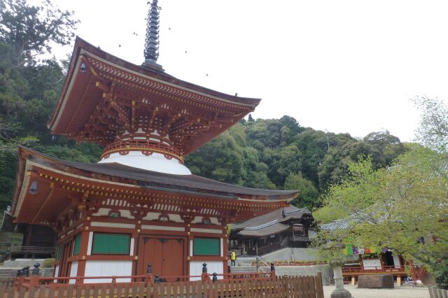 【ご当地講座】【一般】4/17『金剛寺　国宝仏　御開帳』