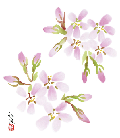 (入会金不要・１DAY)はがきに桜を描こう！　鮎裕の「和のイラスト講座」
