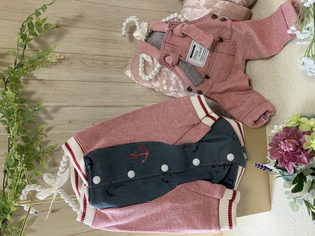 初めてでも作れる犬服入門講座