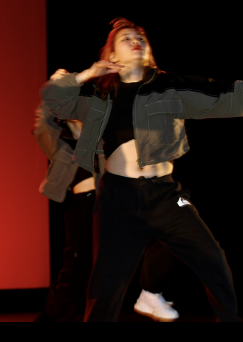 Artist  cover  dance