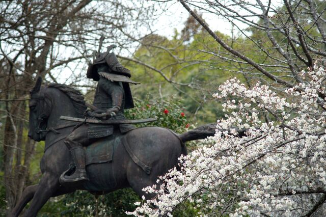 【ご当地講座・入会金不要】～日本唯一の星塚霊場～　　花の寺・観心寺の境内をぶらりフォト