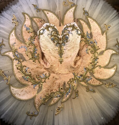 バレエストレッチ＆基礎レッスン