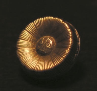 【1日特別講座】弁護士と行く裁判傍聴