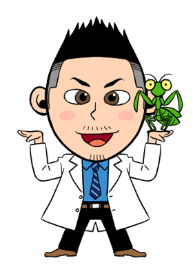 【夏休み1日講座・入会金不要】カブトムシの知られざる生態