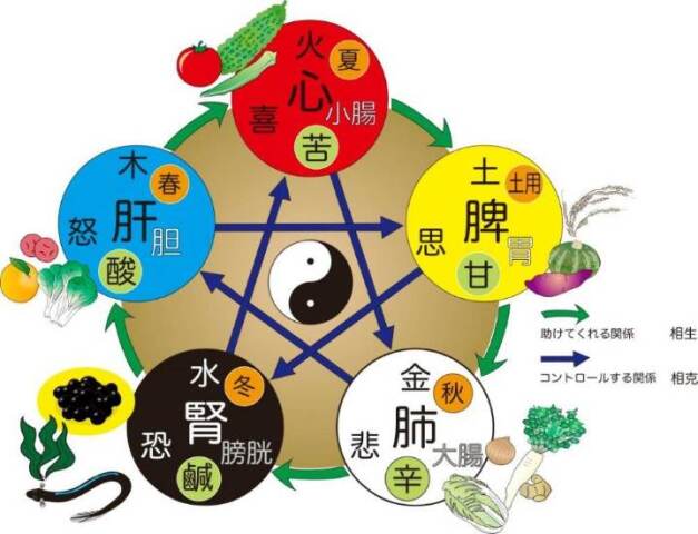 季節香る東洋医学～季節・症状別養生ケア～