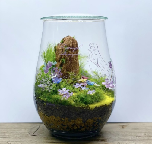 癒しの苔テラリウム