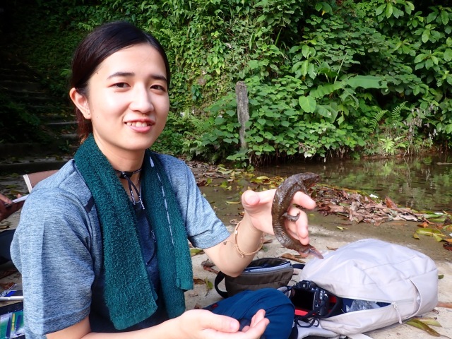 夏休み　二上山ふるさと公園へいきもの探し！
