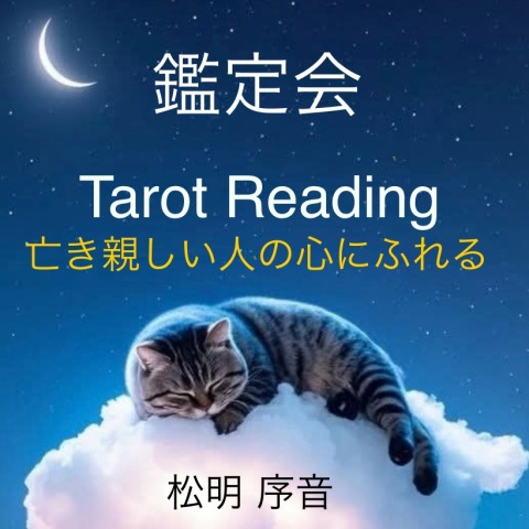 《NEW》タロット特別鑑定会