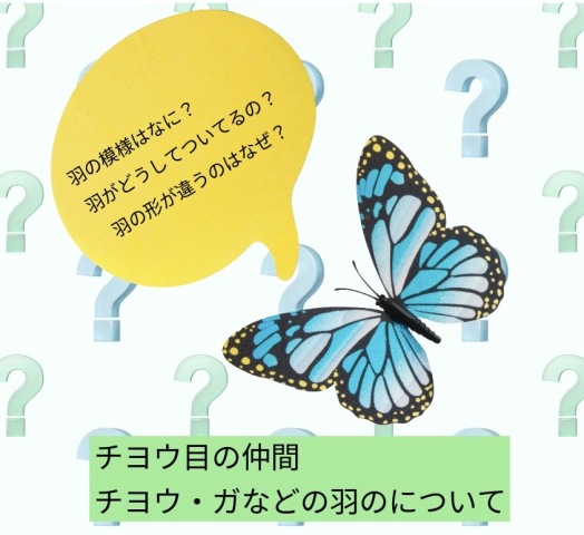 【2026春の新講座】楽しく学んでいきものデザイン！