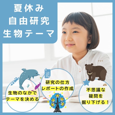 【2026夏の講座】めざせ生き物マスター