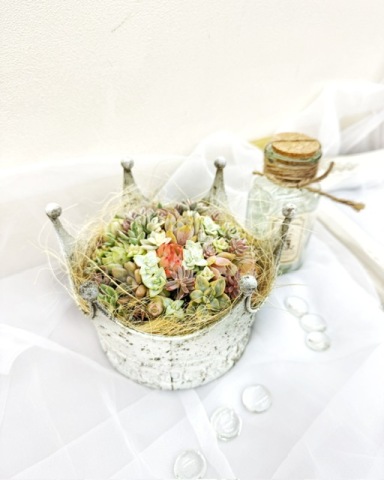 【オンライン講座】キャプテン豊田の寄せ植えギャザリング