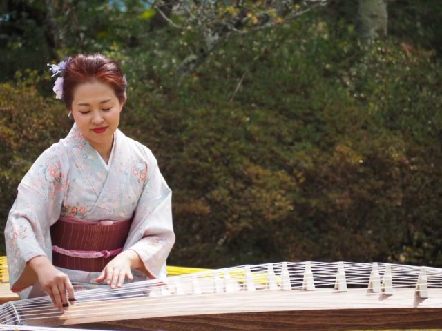お箏教室