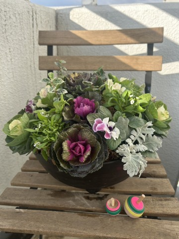 【1日講座】ウインターローズのドーム