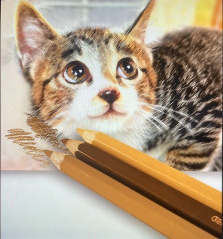 色鉛筆で家族やペットをそっくりに描こう！