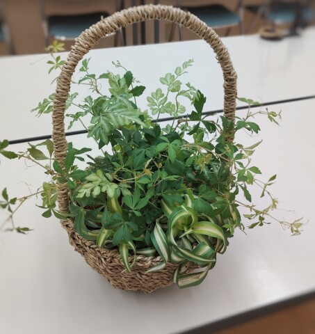 【夏の特別講座】観葉植物のブリコラージュフラワー