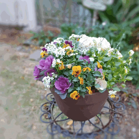【冬の特別講座】冬の花苗を束ねて作る華やかなブリコラージュフラワー