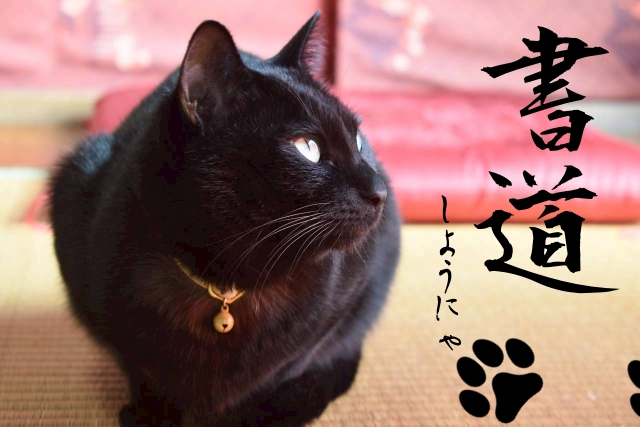 【にゃんカル】～筆で凛と美しく～愛猫の名前を書こう(入会金不要)