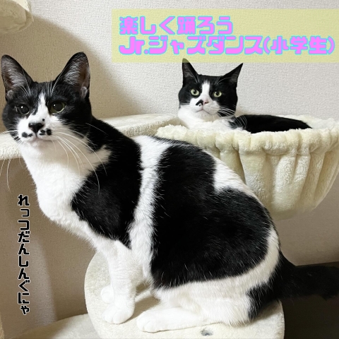 【にゃんカル】楽しく踊ろうJr.ジャズダンス(小学生)