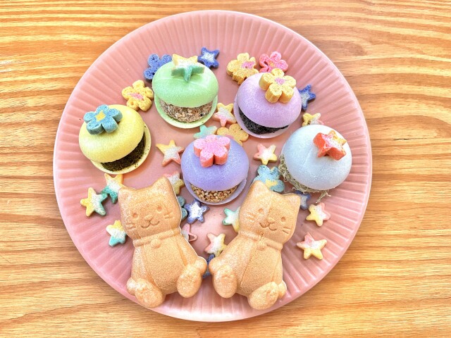 かわいい味噌玉♡手作りレッスン～ニャン太の即席お味噌汁～