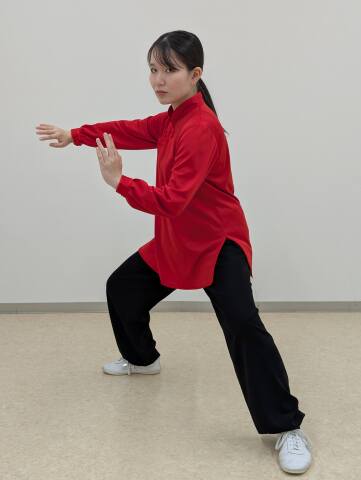 陳式心意混元太極拳