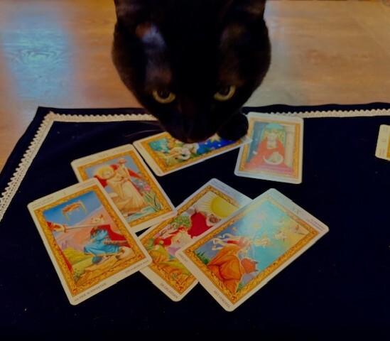 【にゃんカル】2026年　あなたの運勢