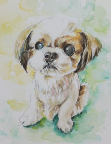 透明水彩絵の具で描く「ペットの絵」