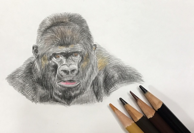  色鉛筆アート教室