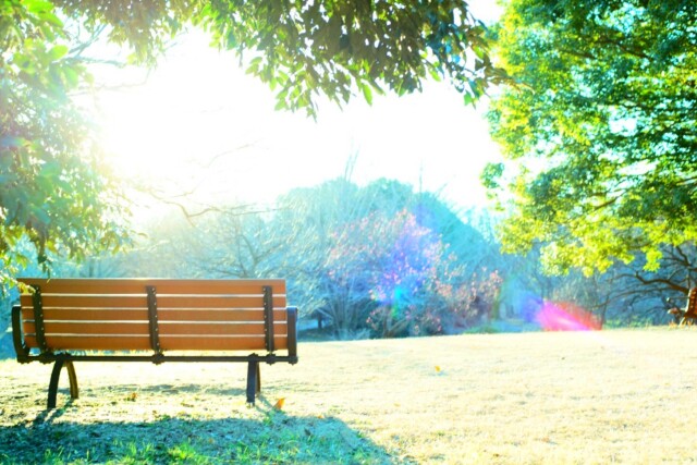 女性カメラマンの やさしい写真レッスン＆鎌倉撮影会 