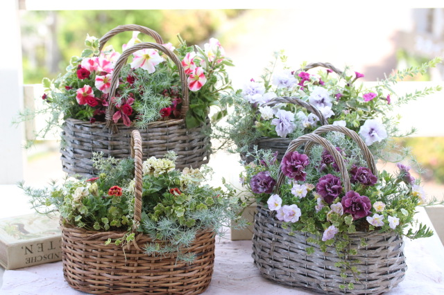 Kaeru no HANAYA　寄せ植えギャザリング教室