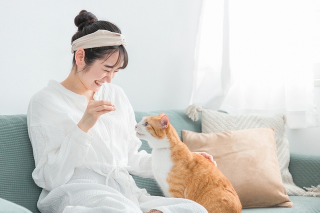 ペットシッター士資格認定講座