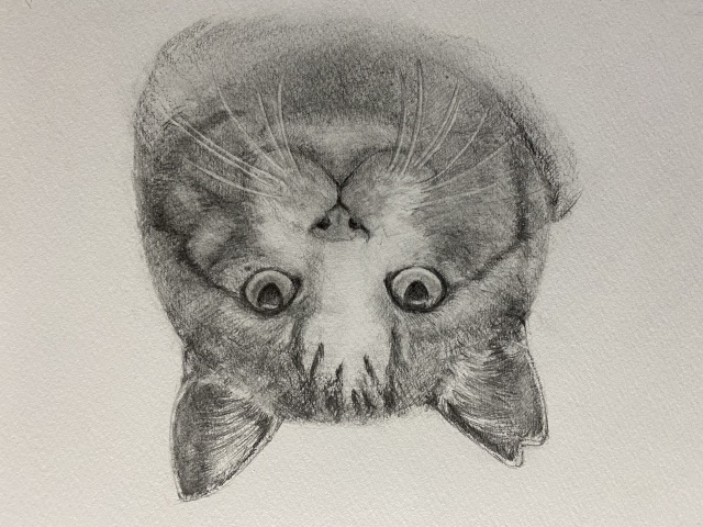 えんぴつ画
