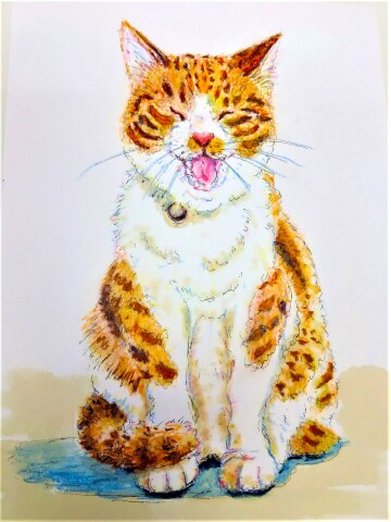 【にゃんカル～JEUGIA 猫まつり～】　猫のぬり絵教室