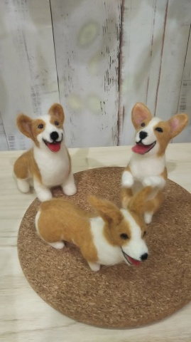 ニードルフェルト研究室