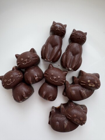 [にゃんカル]ロースイーツ講座～にゃんチョコレートをつくろう～